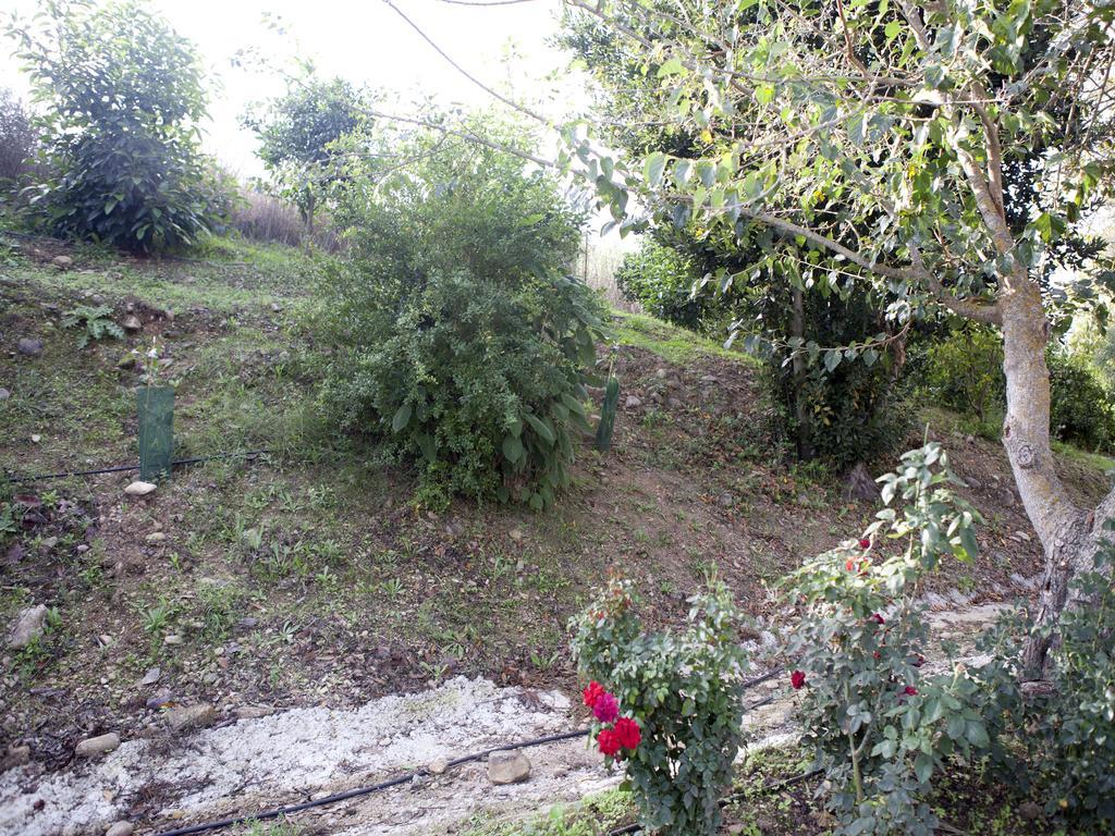 Casa Rural Vega El Dorado San Pablo Dış mekan fotoğraf